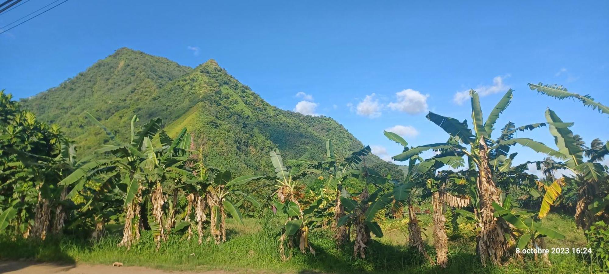 Hava'E Lodge Teahupoo Exterior foto